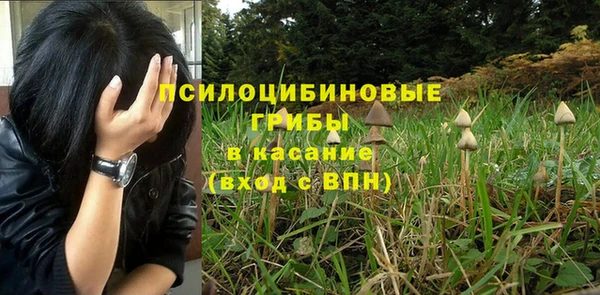 spice Рославль